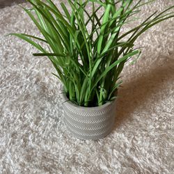 Fake Plant With Pot