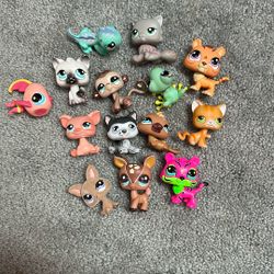 LPS LOT