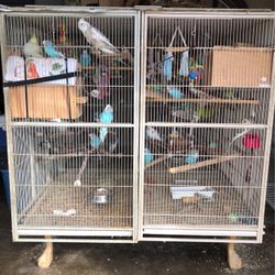 Selling Double cage