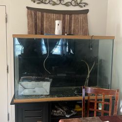 120 gallon fish tank