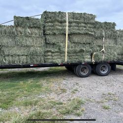 Orchard Grass Hay From Oregon 