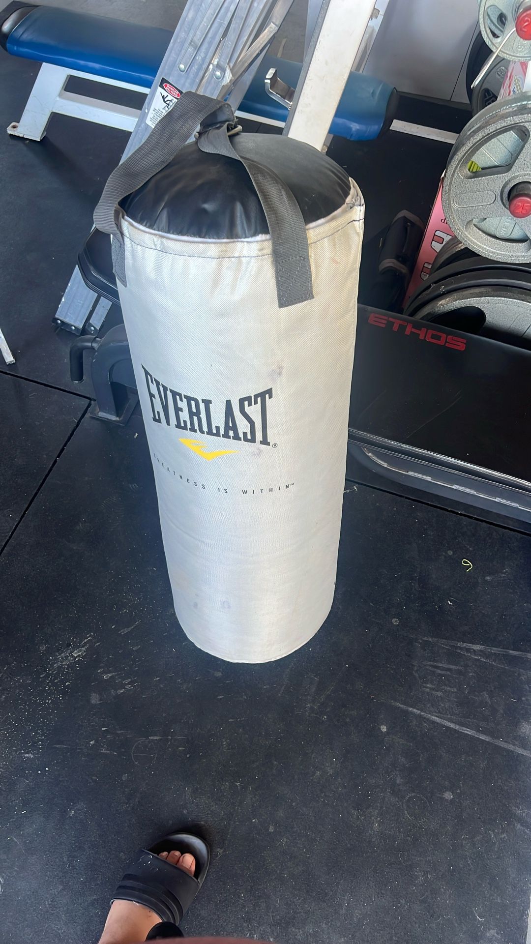 Everlast Punching Bag