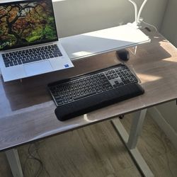 Electric Standing Desk