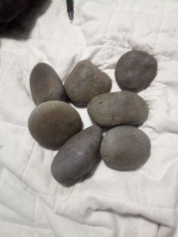 Dirt rocks leafs leaves plant plants rock  black red white blue orange gray green purple yellow crystals crystal stick sticks nature tree trees hard s