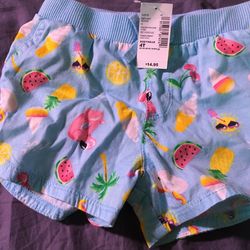 Toddler Girl 4T Shorts