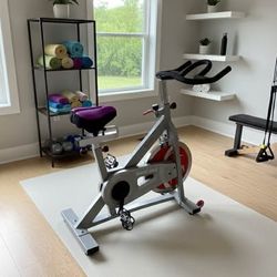 Sunny Health & Fitness Indoor Cycling Bike – Great Condition!