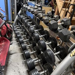 Hoist Dumbbell Set (15-65) And Rack