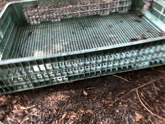 Hard plastic crate 2’ x 4’ only $10