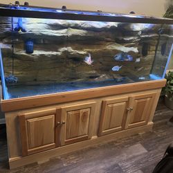 220 Gallon Aquarium 