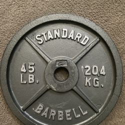 45lb Standard Plates (pair) For Sale 
