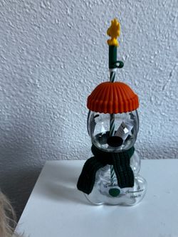 Starbucks Snoopy Glass Cup