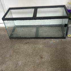 Fish Tank