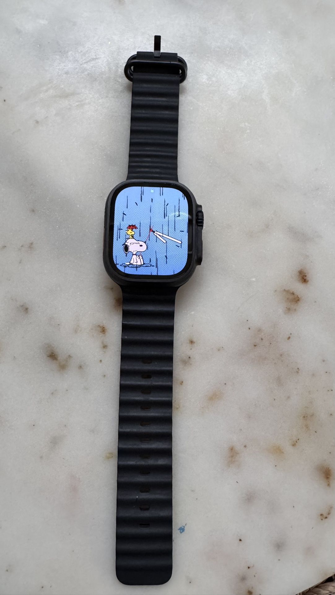 Apple Watch Ultra 2 49mm Case - Titanium