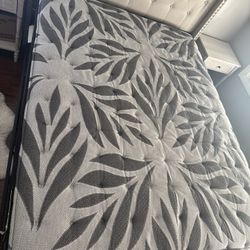 Sealy Queen Ultra Firm Mattress + Box Foundation – Almost NEW – $750 + $50 Box Spring 