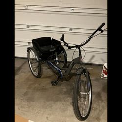 Schwinn Meridian Comfort Tricycle 