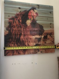 Frames