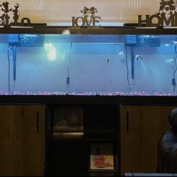 Aquarium