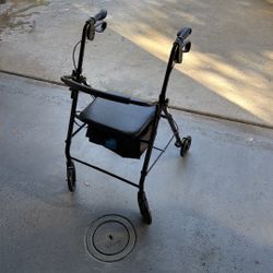 Walking Chair With Seat