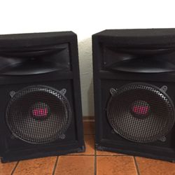 15 inch DJ speakers
