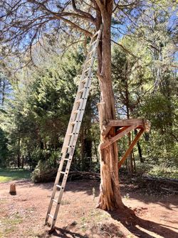 24ft Ladder