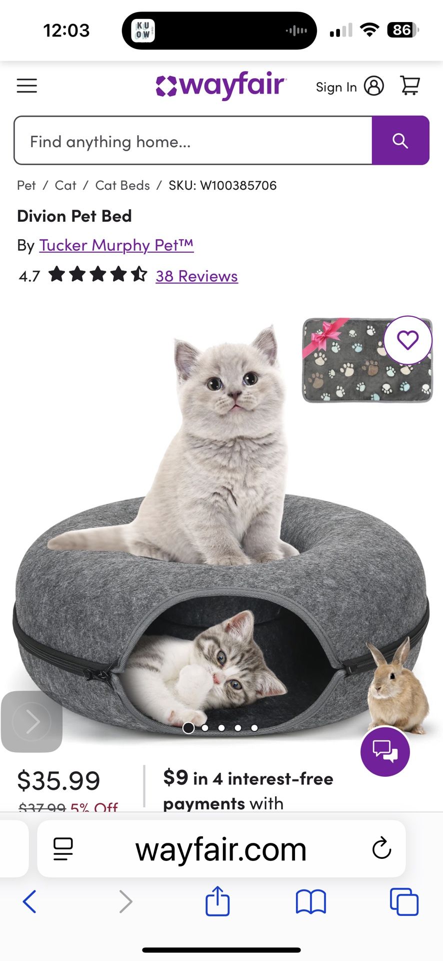 Kitty Donut $30 Brand New In Box