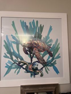 Turtle picture