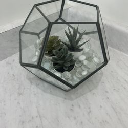 Geometric Vase With Succulents 