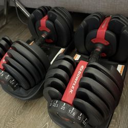 Bowflex Dumbbell Set - Like New 
