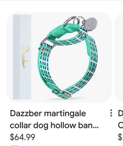 Dazzber Martingale Collar