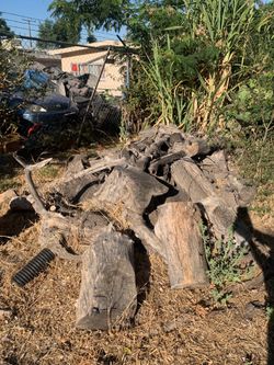 Free Wood /madera gratis
