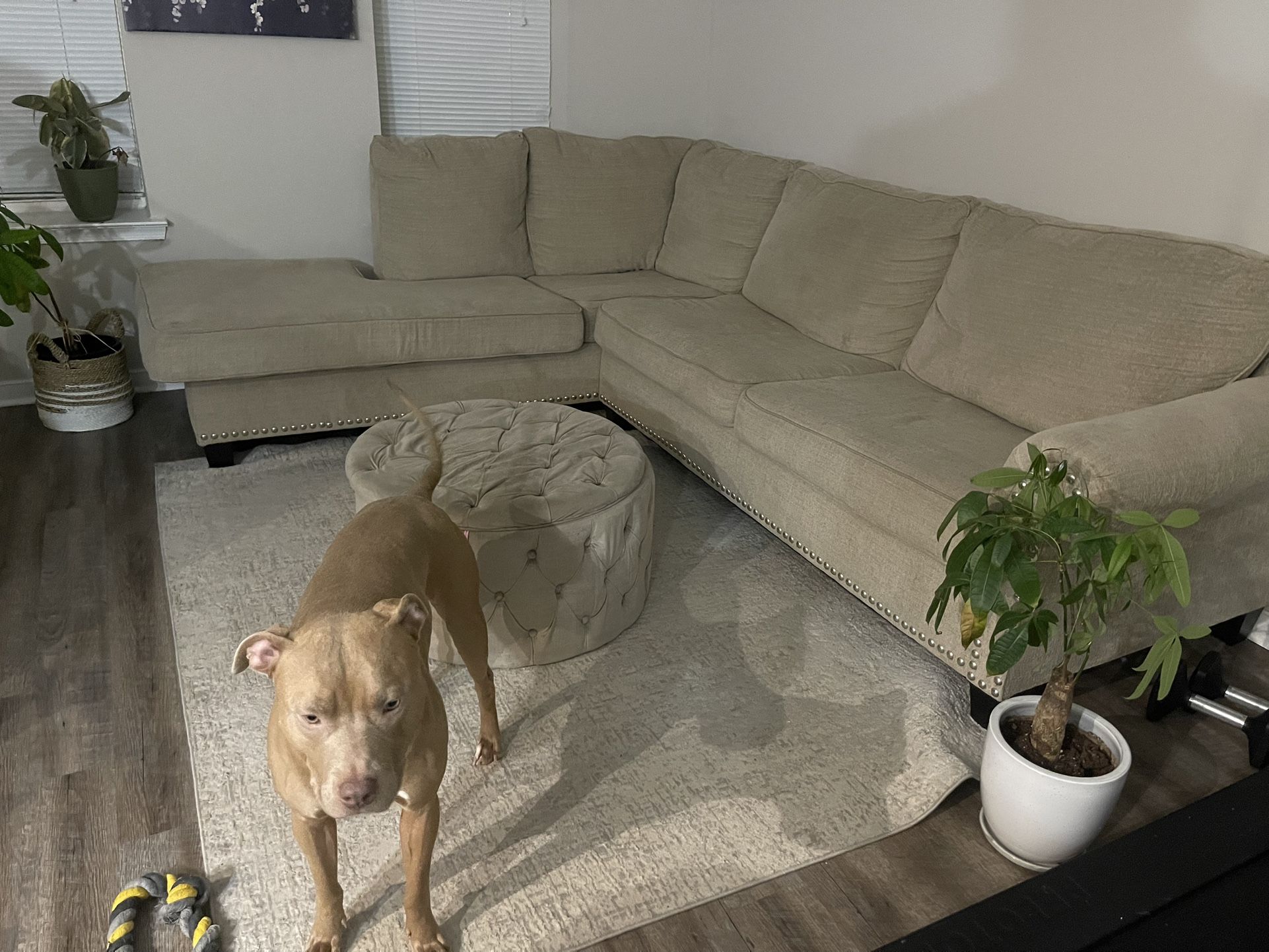 Moving special, 385 Sofa + Storage Ottoman OBO