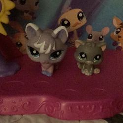Inauthentic Littlest Pet Shop Fox, Kitten 