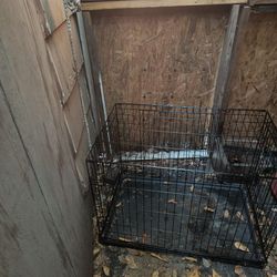 Dog Crate And Dog Bed 