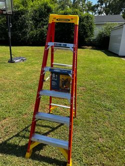 6ft Ladder
