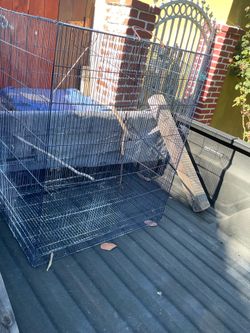 Bird Cage