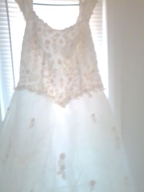 Wedding Dress From David's Bridal