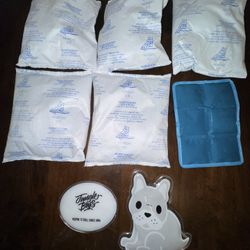 Ice Packs $1 Each Or 8 For $4 