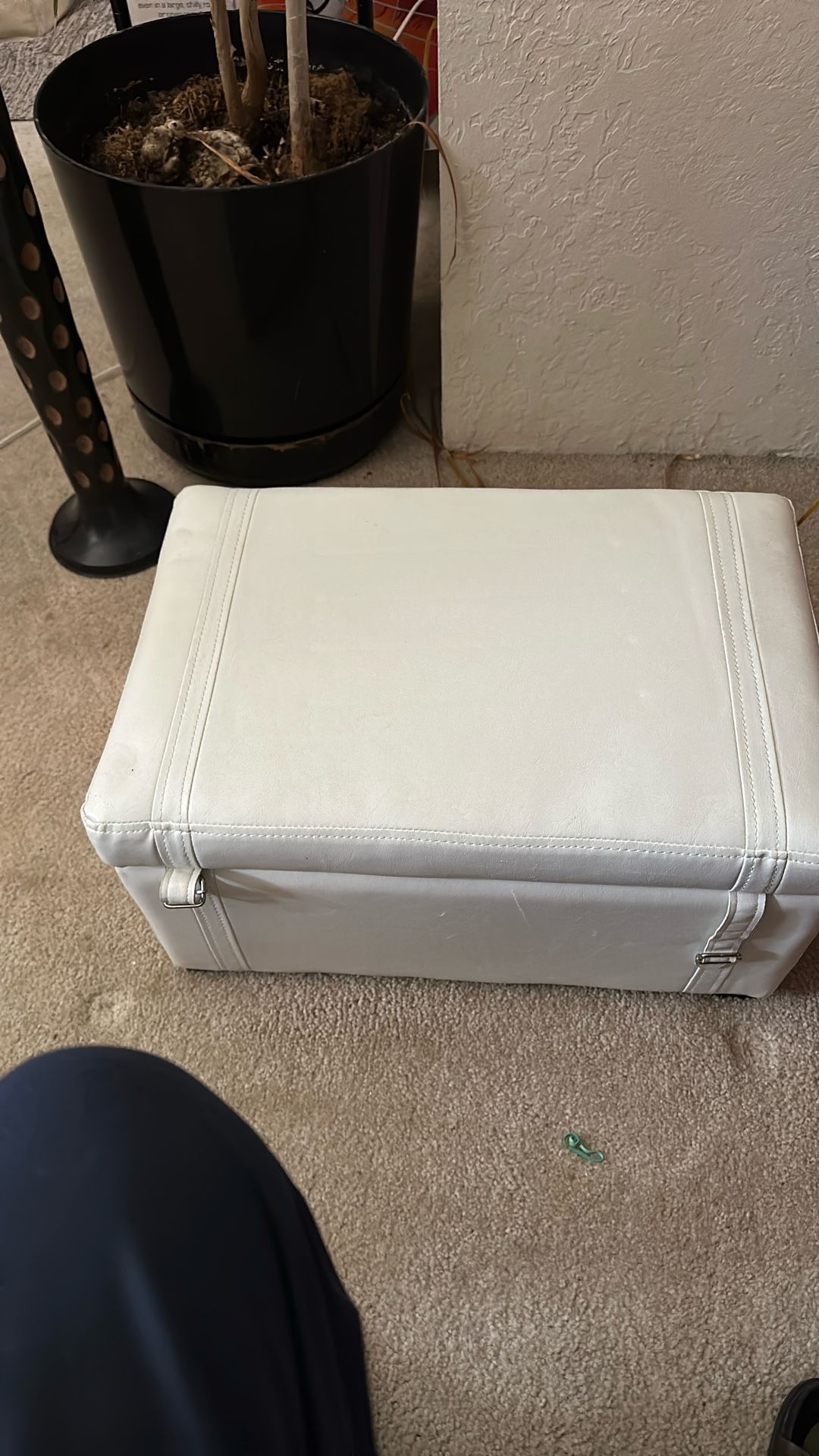 Mini Case