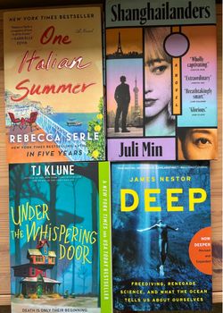 Lot of 4 Paperback Novels