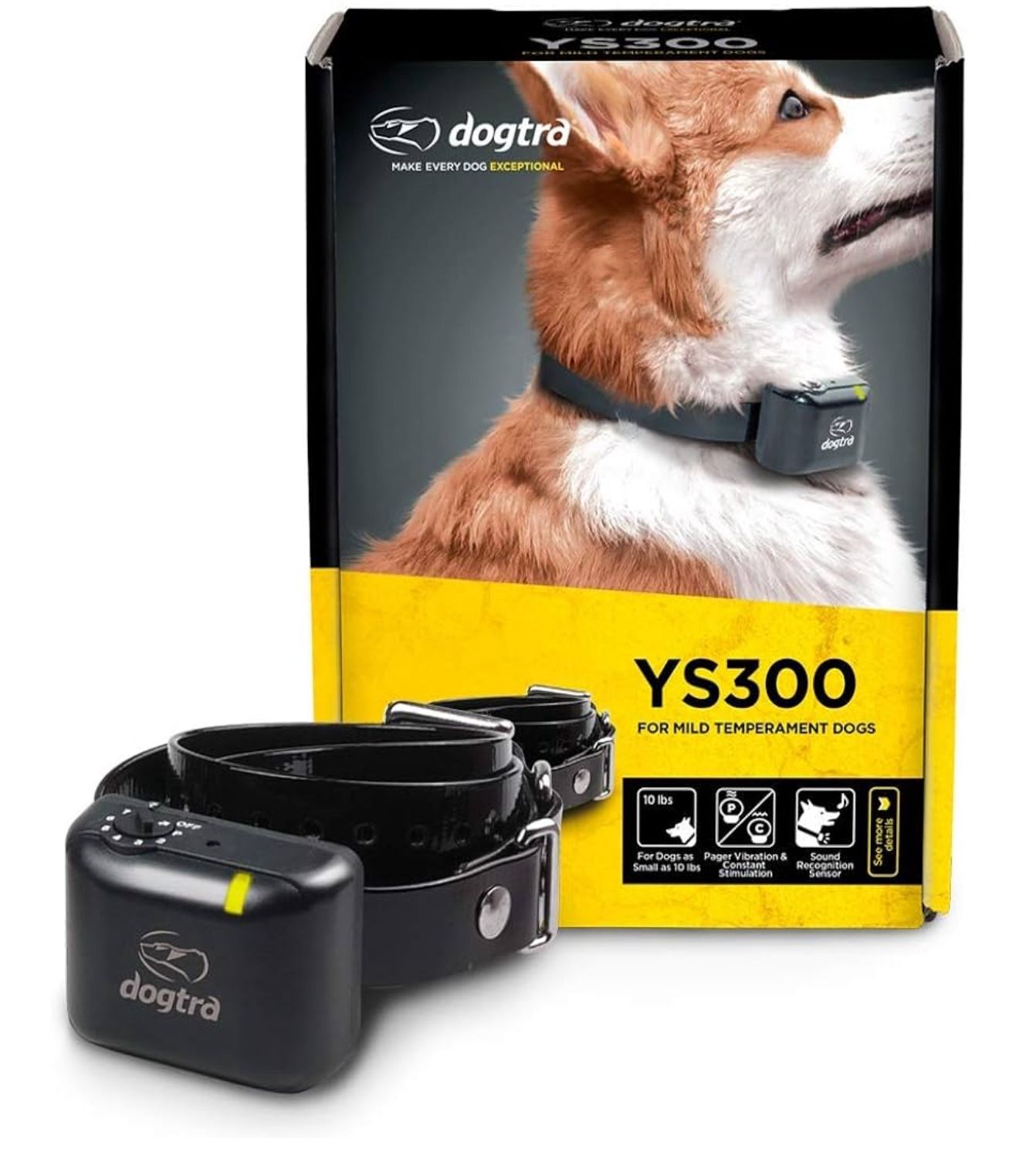 No bark collar