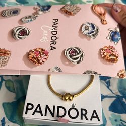 Pandora Bracelet