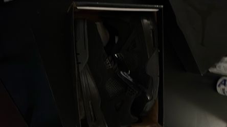Black cats brand new