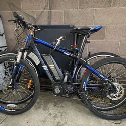 Electric mountain bike
