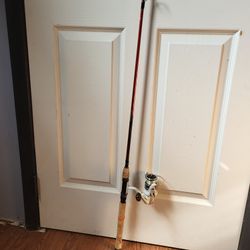 Spinning Rod And Reel