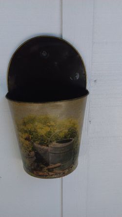 Para plantas