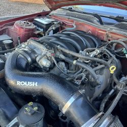 2008 V8 Mustang 