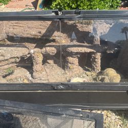 Custom Built Reptile Tank With Loads Of Accessories 