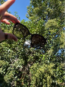 Sunglasses