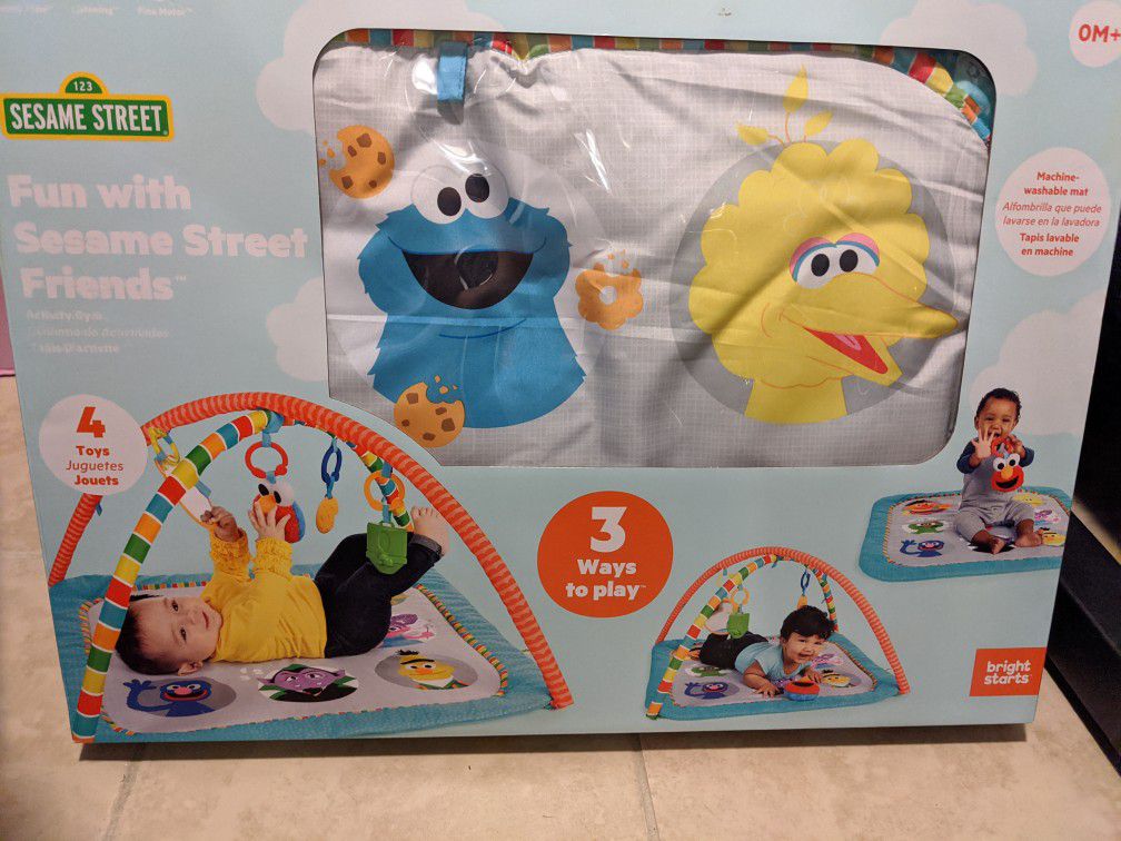 Activity Gym and Play Mat