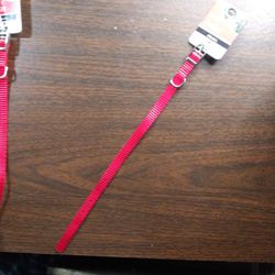 NEW Small Dog Collar (Red)